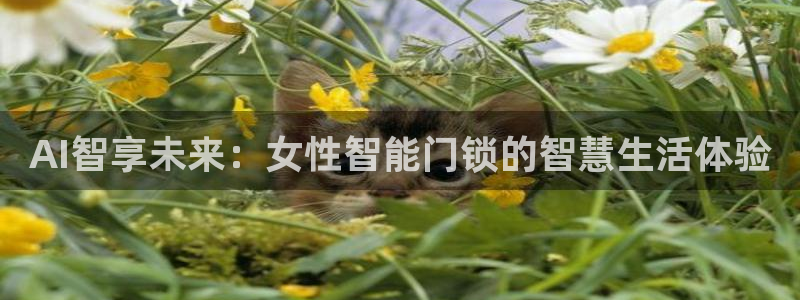 开丰娱乐登录官方网站：AI智享未来：女性智能门锁的智慧生活体