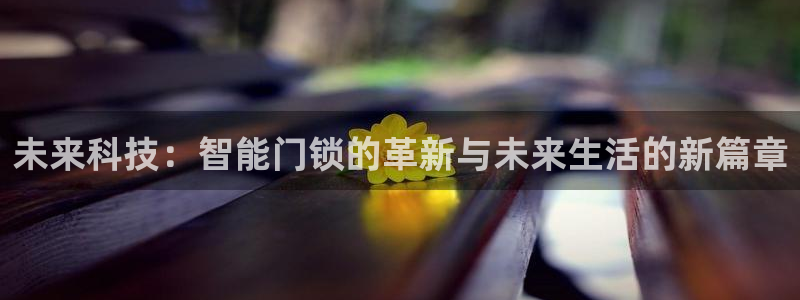 开丰娱乐平台登录：未来科技：智能门锁的革新与未来生活的新篇章