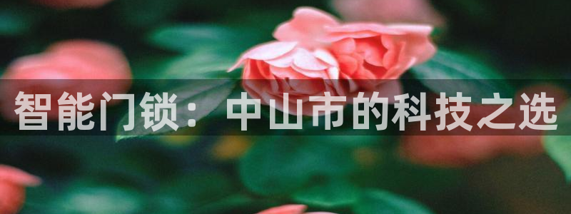 开丰娱乐趣 7O935：智能门锁：中山市的科技之选