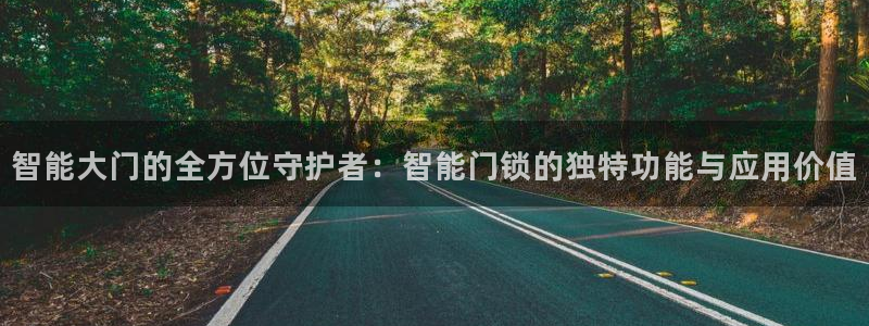 开丰娱乐平台官网登录：智能大门的全方位守护者：智能门锁的独特