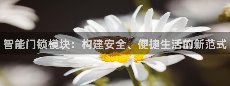 开丰娱乐网站官网下载：智能门锁模块：构建安全、便捷生活的新范