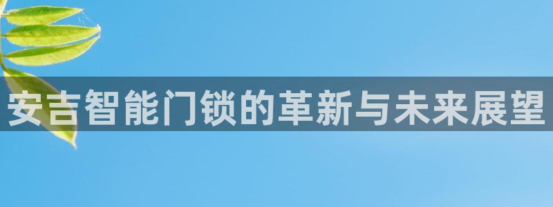 开丰娱乐下7O667：安吉智能门锁的革新与未来展望