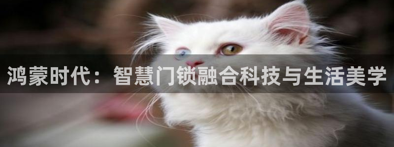 开丰娱乐官网平台网址：鸿蒙时代：智慧门锁融合科技与生活美学