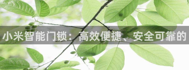 开丰娱乐官网：小米智能门锁：高效便捷、安全可靠的