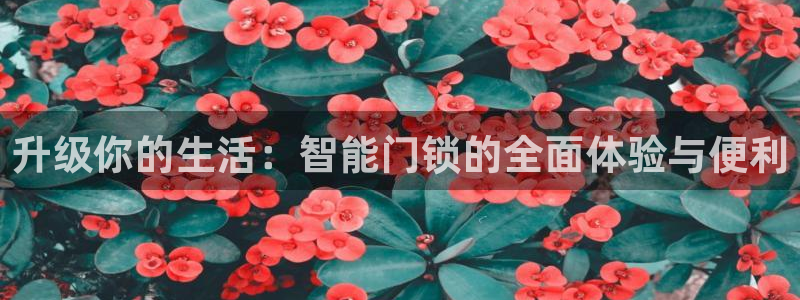 如何注册开丰娱乐账号：升级你的生活：智能门锁的全面体验与便利