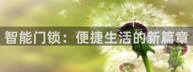 开丰娱乐万六七五一38：智能门锁：便捷生活的新篇章