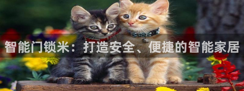 开丰娱乐下载安装：智能门锁米：打造安全、便捷的智能家居