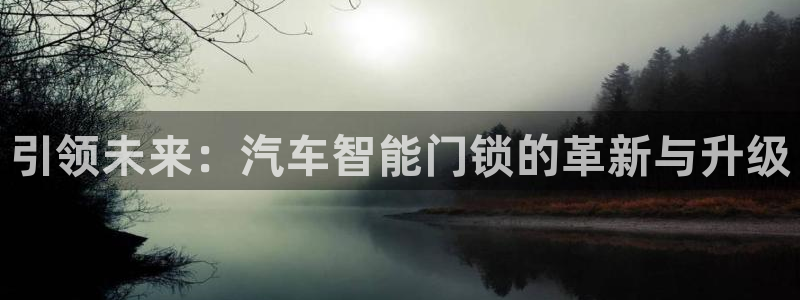 开丰娱乐科技：引领未来：汽车智能门锁的革新与升级