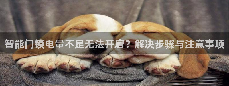 开丰娱乐网官网注册入口：智能门锁电量不足无法开启？解决步骤与