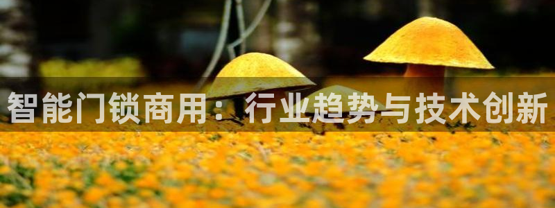 开丰娱乐除7O777：智能门锁商用：行业趋势与技术创新