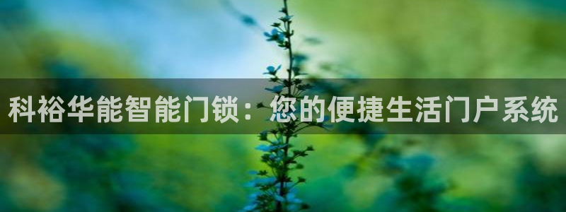 开丰娱乐：科裕华能智能门锁：您的便捷生活门户系统
