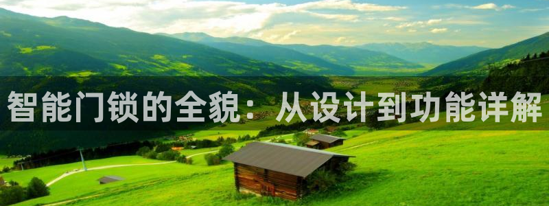 开丰娱乐月：智能门锁的全貌：从设计到功能详解