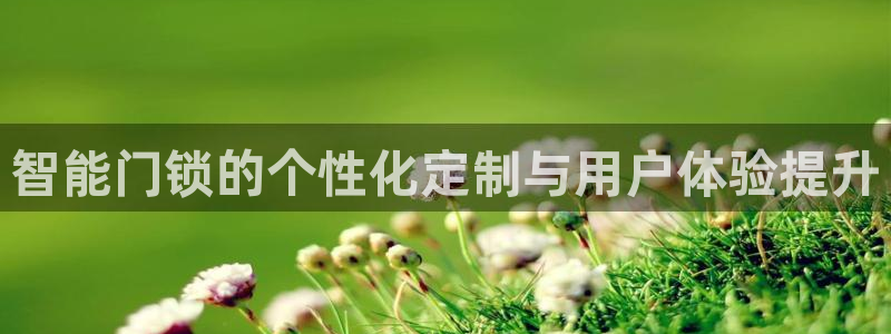 开丰娱乐除7O777：智能门锁的个性化定制与用户体验提升