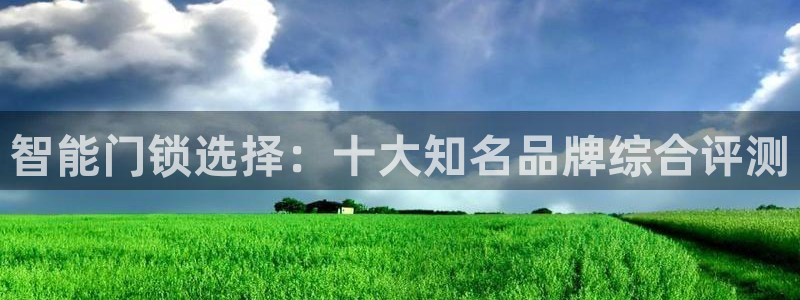 开丰娱乐山67五壹叁八：智能门锁选择：十大知名品牌综合评测