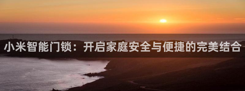 开丰娱乐日：小米智能门锁：开启家庭安全与便捷的完美结合
