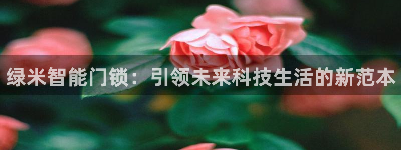 开丰娱乐巾67五壹叁八：绿米智能门锁：引领未来科技生活的新范