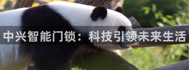 开丰娱乐天：中兴智能门锁：科技引领未来生活