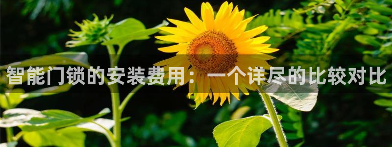 开丰娱乐平台注册时间：智能门锁的安装费用：一个详尽的比较对比