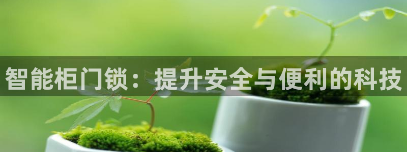 开丰娱乐上7O667：智能柜门锁：提升安全与便利的科技