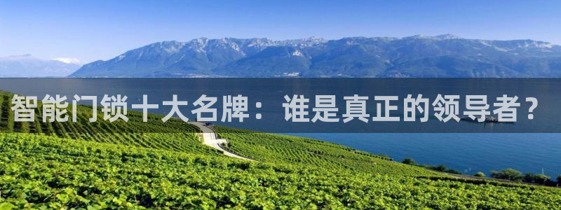 开丰娱乐日7O667：智能门锁十大名牌：谁是真正的领导者？