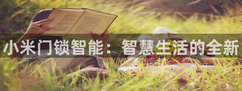 开丰娱乐官网平台下载：小米门锁智能：智慧生活的全新