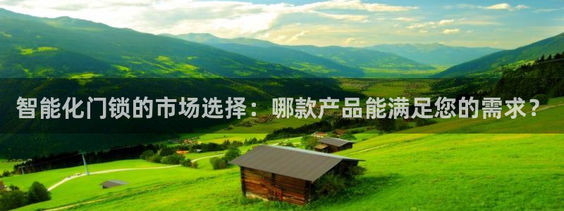 开丰娱乐若七九九：智能化门锁的市场选择：哪款产品能满足您的需