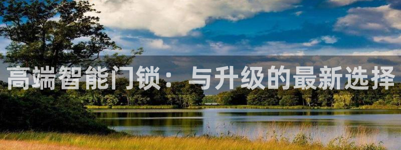 圩丰刚开的娱乐场所：高端智能门锁：与升级的最新选择