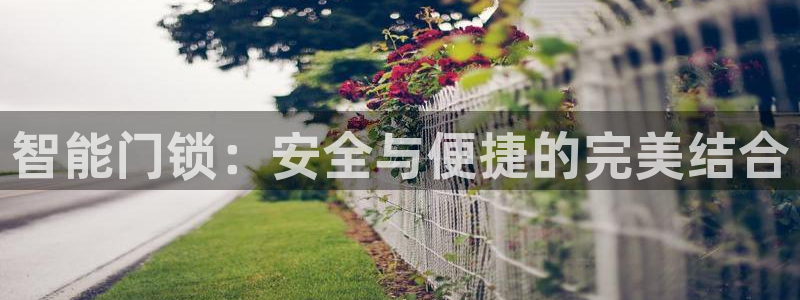 开丰娱乐登入地址在哪：智能门锁：安全与便捷的完美结合