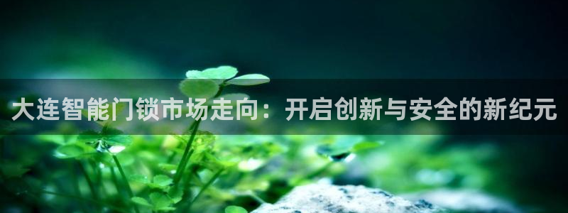 开丰娱乐平台登录网址：大连智能门锁市场走向：开启创新与安全的