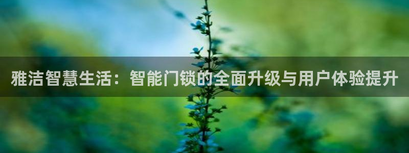 开丰娱乐平台注册地址：雅洁智慧生活：智能门锁的全面升级与用户