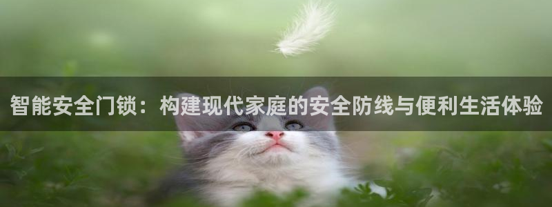 开丰娱乐于六七五一38：智能安全门锁：构建现代家庭的安全防线