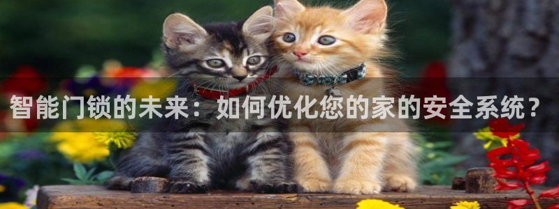 开丰娱乐网站官网首页：智能门锁的未来：如何优化您的家的安全系
