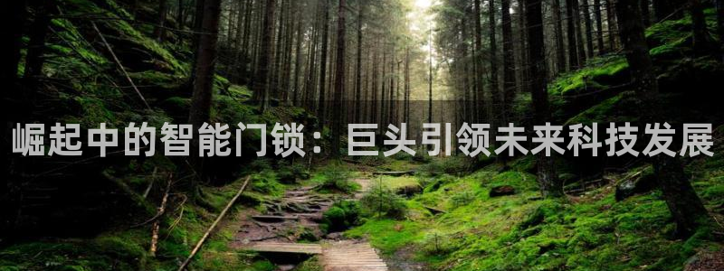 开丰娱乐下：崛起中的智能门锁：巨头引领未来科技发展