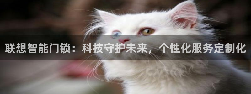 开丰娱乐联系q徽22212：联想智能门锁：科技守护未来，个性