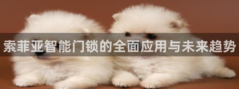 开丰娱乐平台地址：索菲亚智能门锁的全面应用与未来趋势