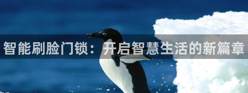 开丰娱乐若七九九：智能刷脸门锁：开启智慧生活的新篇章