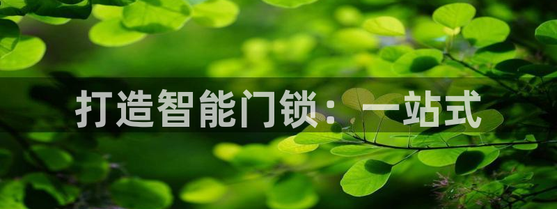 开丰娱乐网站：打造智能门锁：一站式