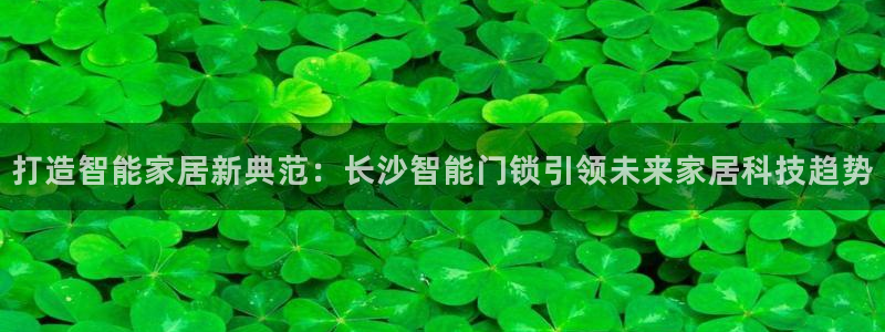 开丰娱乐平台登录网址：打造智能家居新典范：长沙智能门锁引领未