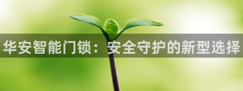 开丰娱乐平台地址：华安智能门锁：安全守护的新型选择