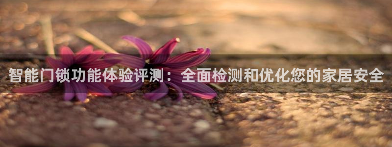 开丰娱乐平台地址：智能门锁功能体验评测：全面检测和优化您的家