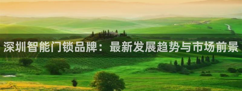 开丰娱乐平台登录网址：深圳智能门锁品牌：最新发展趋势与市场前