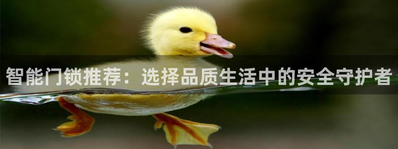 开丰娱乐注册资金多少：智能门锁推荐：选择品质生活中的安全守护