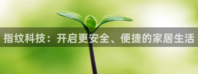 开丰娱乐官网招聘：指纹科技：开启更安全、便捷的家居生活
