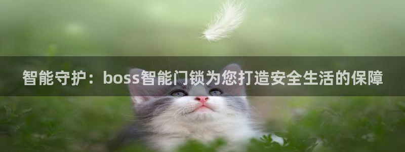 开丰娱乐行业恢复时间：智能守护：boss智能门锁为您打造安全
