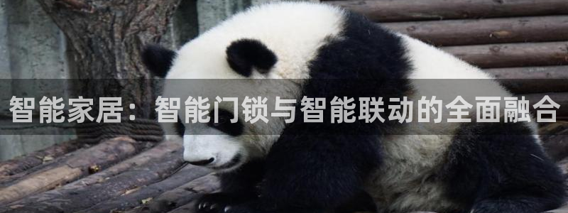 开丰娱乐官网平台网址：智能家居：智能门锁与智能联动的全面融合