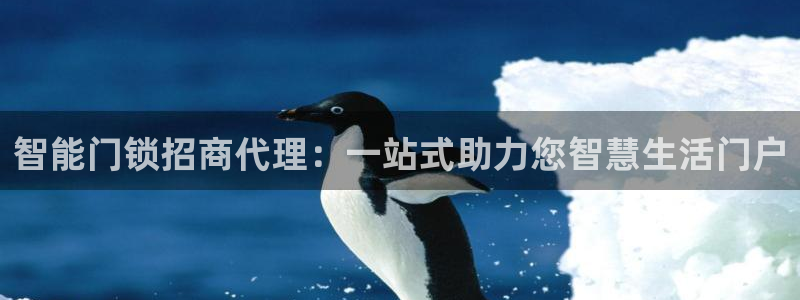 下载开丰娱乐：智能门锁招商代理：一站式助力您智慧生活门户