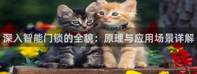 开丰娱乐官网平台网址：深入智能门锁的全貌：原理与应用场景详解