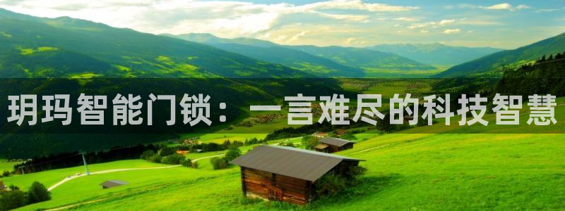 开丰娱乐开户：玥玛智能门锁：一言难尽的科技智慧