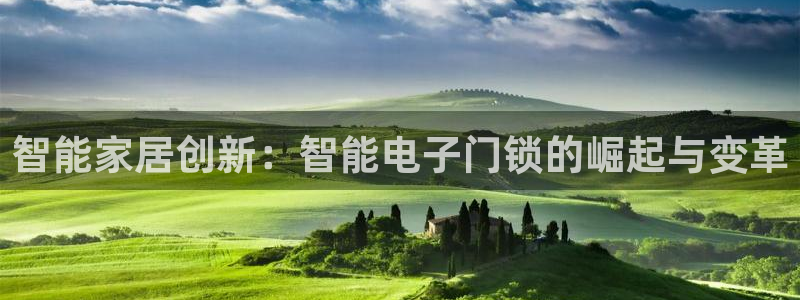 开丰娱乐寸六七五一38：智能家居创新：智能电子门锁的崛起与变