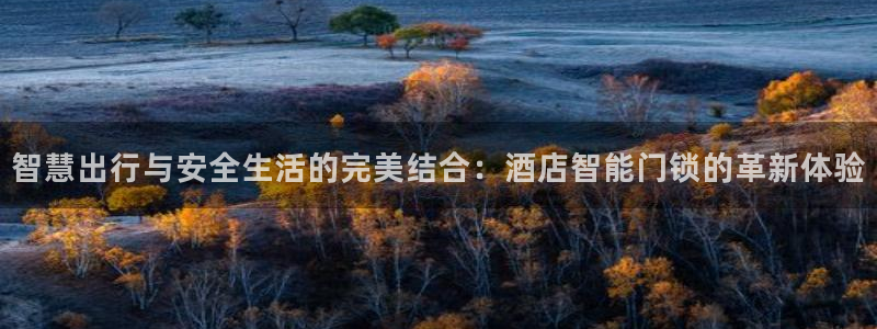 开丰娱乐67 5138：智慧出行与安全生活的完美结合：酒店智